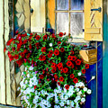 Hanging Gardens