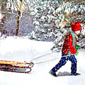 Going Sledding