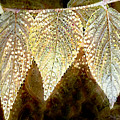 Gold Leaf